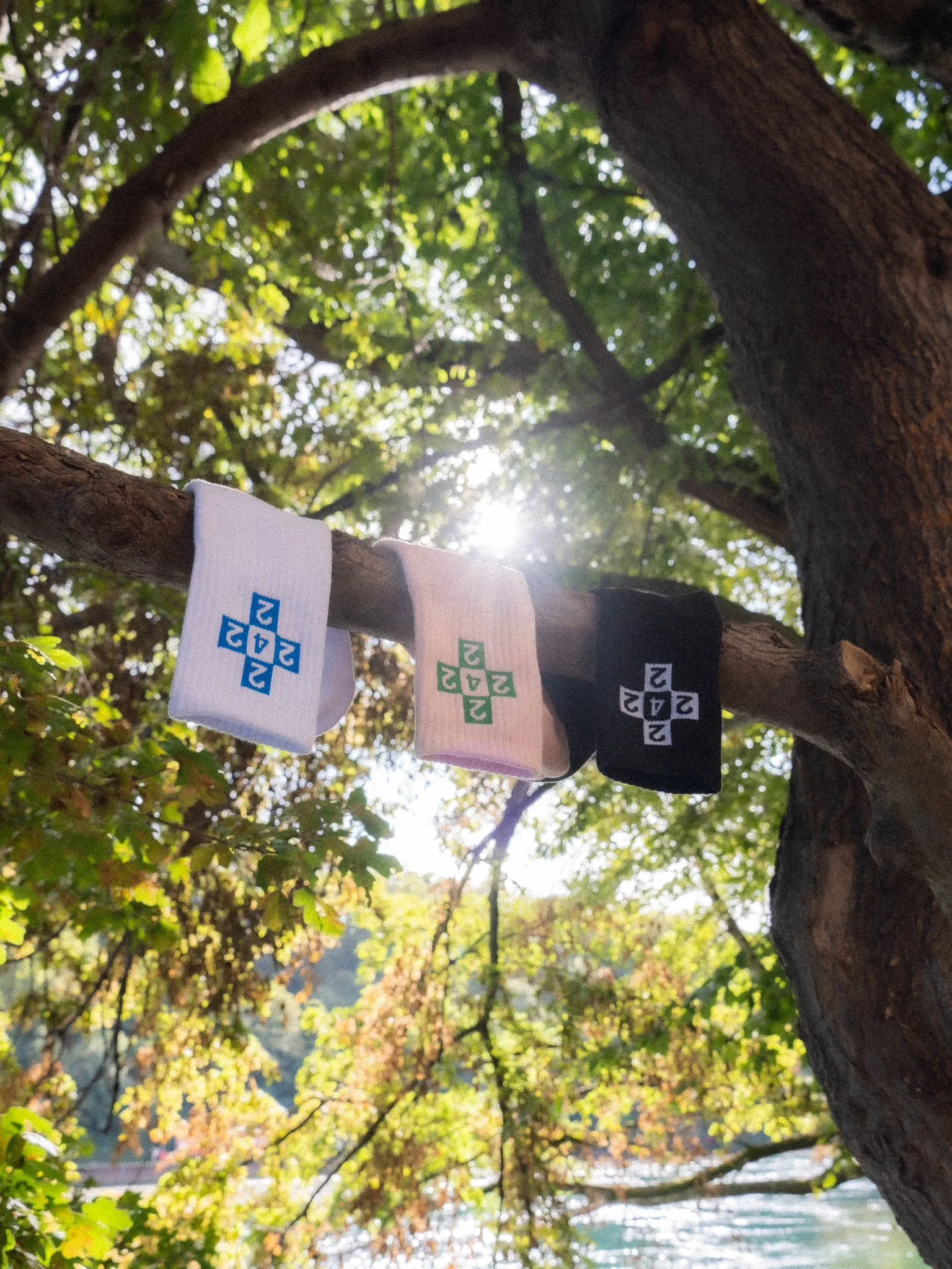 242 Sport Socks 3-Pack // Multi