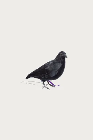Crow 1 (Small)