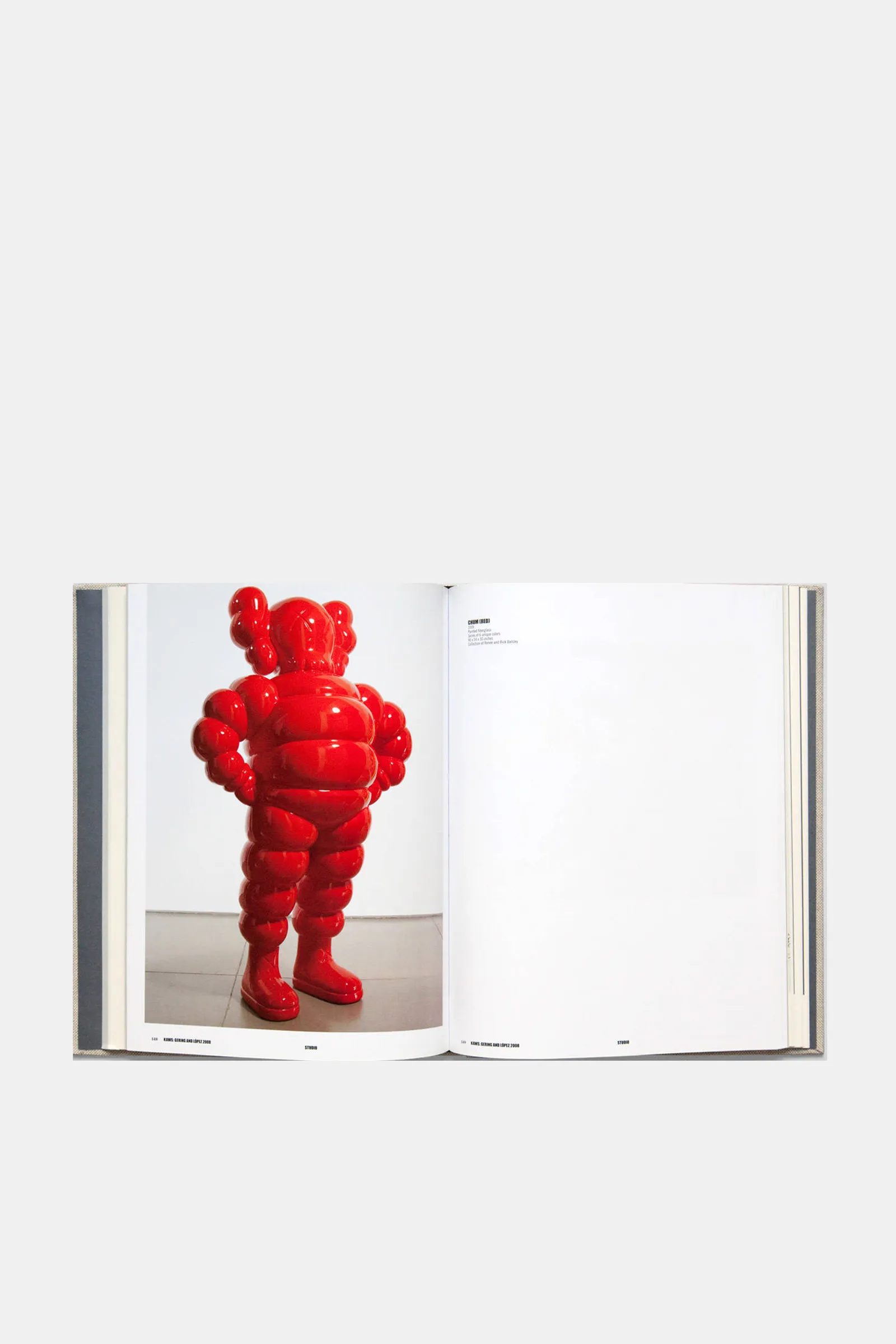 KAWS