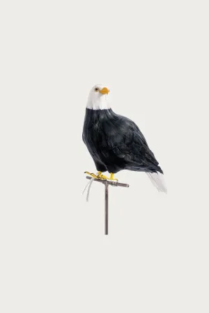 Large Eagle