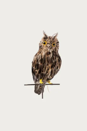Large Owl - Brown