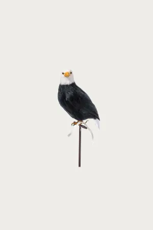 Small Eagle