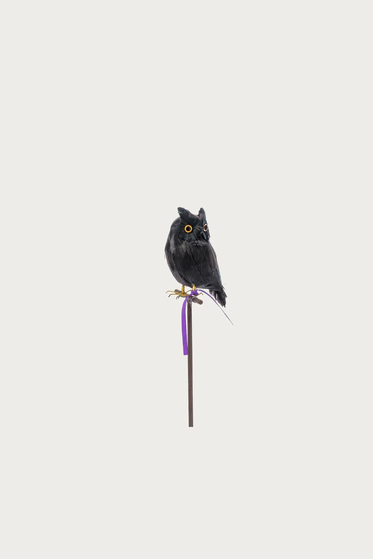 Small Owl - Black