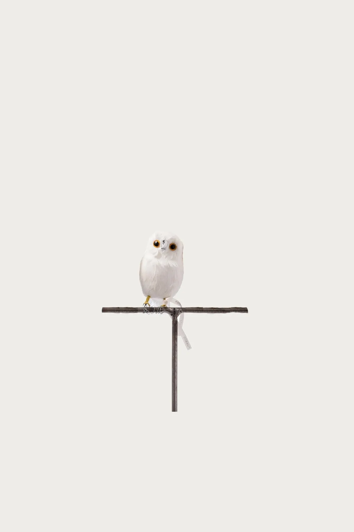 Small Owl - White