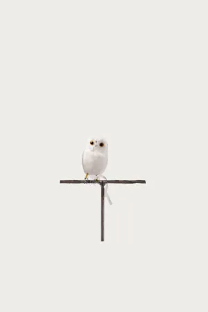 Small Owl - White