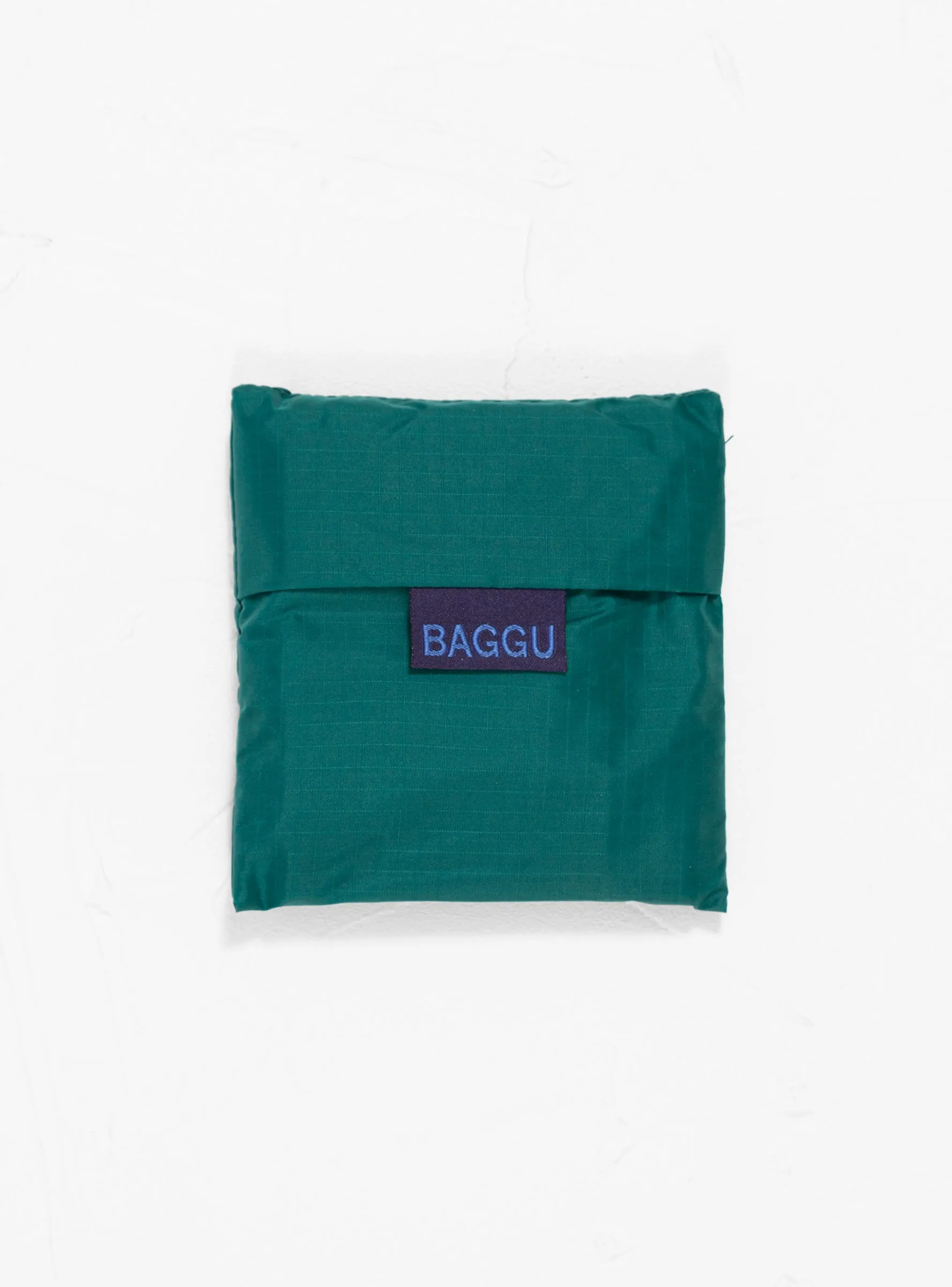 Standard Baggu Malachite